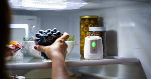 pureAir FRIDGE Makes it Easier Than Ever to go Vegan