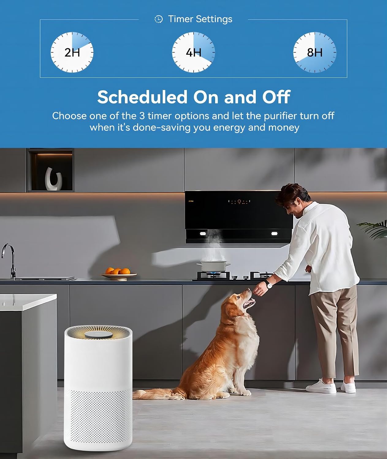 HITEKON True HEPA+ Carbon wildfire smoke indoor air purifier